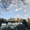 IMG_5155.jpeg