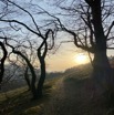 IMG_9628.jpeg