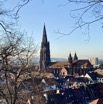 IMG_9459.jpeg
