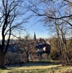 IMG_9460.jpeg