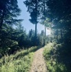 IMG_5061.jpeg