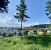 IMG_4870.jpeg