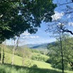 IMG_4739.jpeg