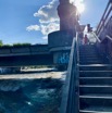 IMG_4589.jpeg