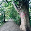 IMG_6180.jpeg