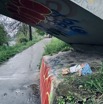 IMG_4497.jpeg