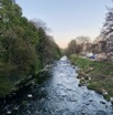 IMG_4398.jpeg