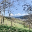 IMG_4167.jpeg