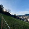 IMG_4148.jpeg