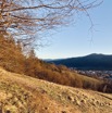 IMG_3977.jpeg