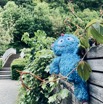 IMG_5597.jpeg
