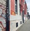 IMG_3954.jpeg
