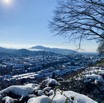 IMG_3908.jpeg