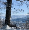 IMG_3888.jpeg