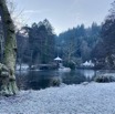 IMG_8122.jpeg