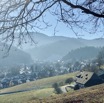 IMG_8150.jpeg
