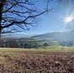IMG_8153.jpeg