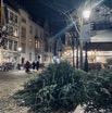 IMG_3856.jpeg