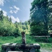 IMG_5701.jpeg