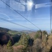 IMG_3772.jpeg