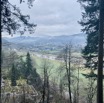 IMG_3758.jpeg