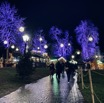 IMG_3605.jpeg
