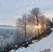IMG_3587.jpeg