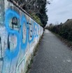 IMG_3527.jpeg