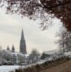 IMG_3404.jpeg
