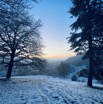 IMG_3372.jpeg
