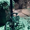 IMG_3353.jpeg