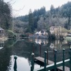 IMG_9674.jpeg