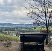 IMG_3157.jpeg