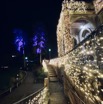 IMG_3050.jpeg