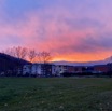 IMG_3036.jpeg