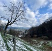 IMG_3008.jpeg