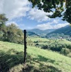 IMG_2468.jpeg