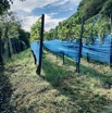 IMG_1995.jpeg