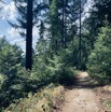 IMG_1156.jpeg