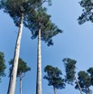 IMG_9690.jpeg