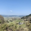 IMG_9691.jpeg