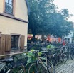 IMG_6285.jpeg