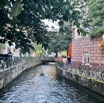 IMG_6284.jpeg