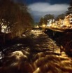 IMG_7933.jpeg